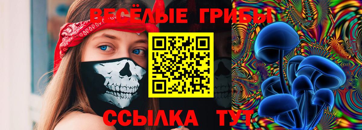 Псилоцибиновые грибы Magic Shrooms  Вход с VPN  Псилоцибиновые грибы Psilocybe  Грозный 